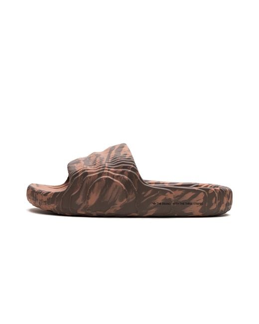 Adidas Brown Adilette 22 "Claster" Hp6518" for men