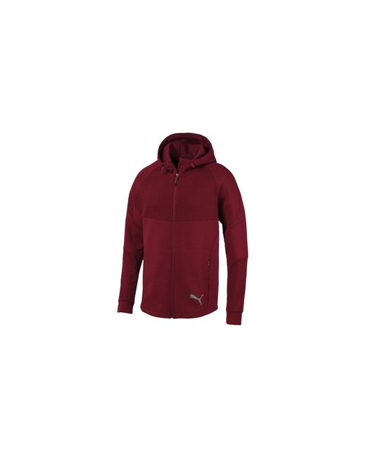 PUMA Red Evostripe Fullzip Hoodie "Rhubarb" 580097 27" for men
