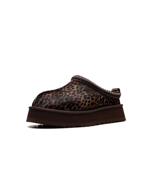 Ugg Black Tazz Caspian "Burnt Cedar" 1178430 Bcdr"