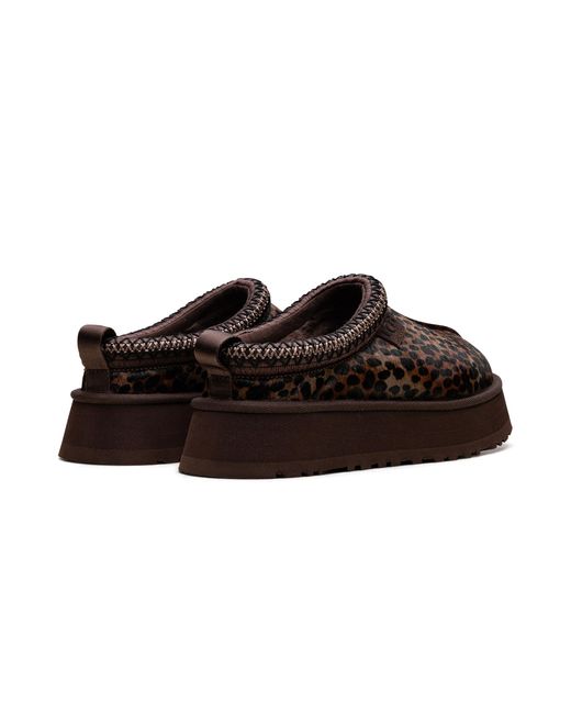 Ugg Black Tazz Caspian "Burnt Cedar" 1178430 Bcdr"