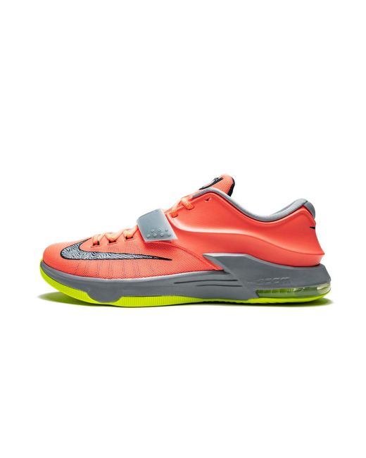 kd shoe size
