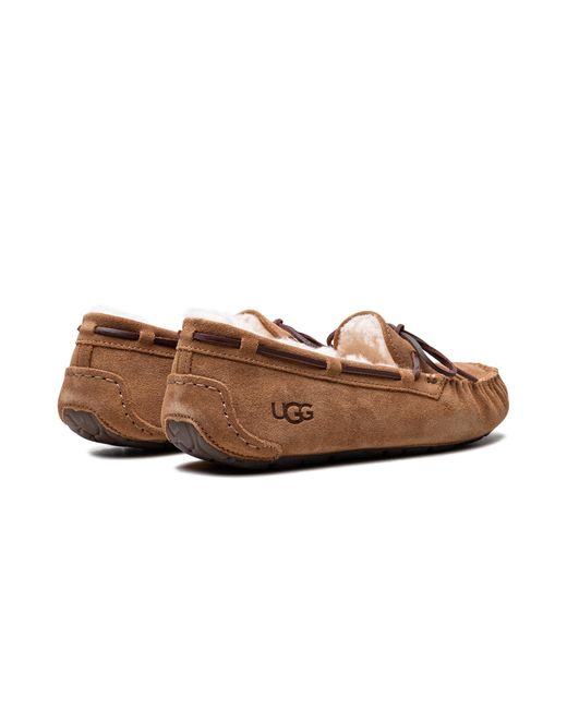 Ugg Brown Dakota 1107949 Che"