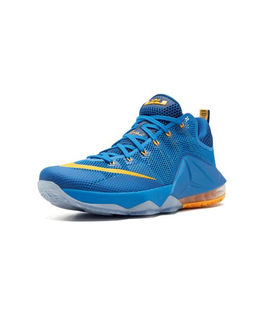 Lebron discount james xii