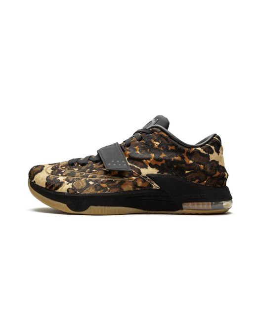 kd 7 longhorn state