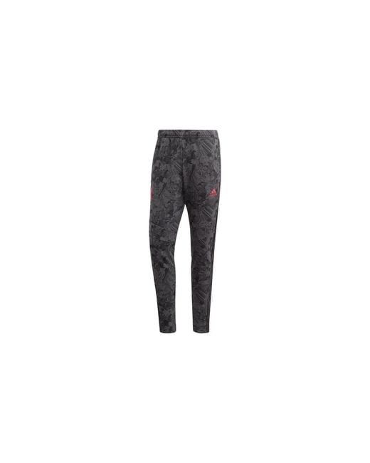 Adidas Black Captain Tsubasa Training Pant Power" Gk3436" for men
