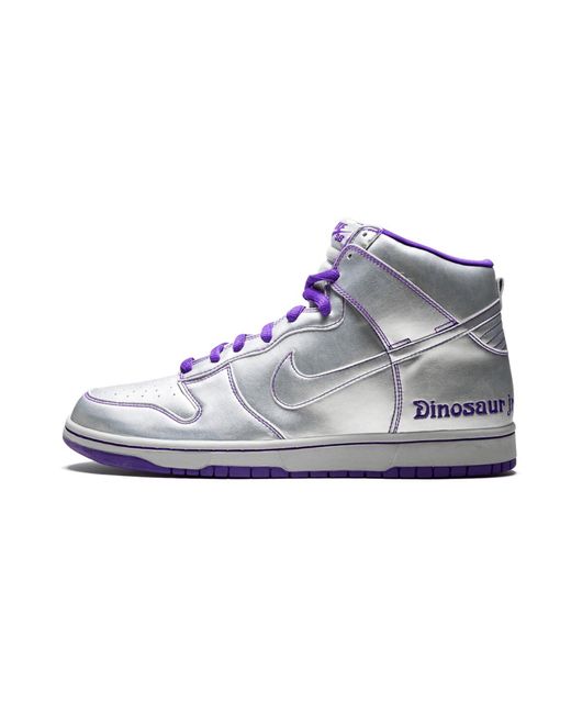Nike Black Sb Dunk High Premium "Dinosaur Jr" 313171 003" for men