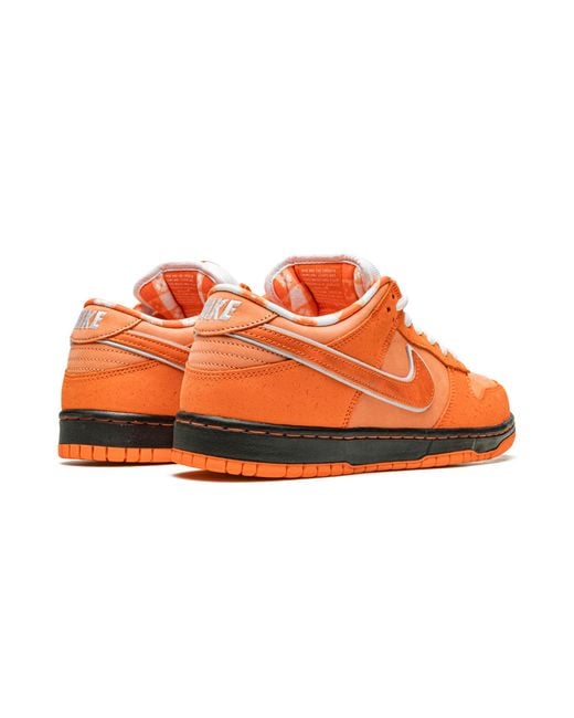 Nike Multicolor Sb Dunk Low "Concepts for men