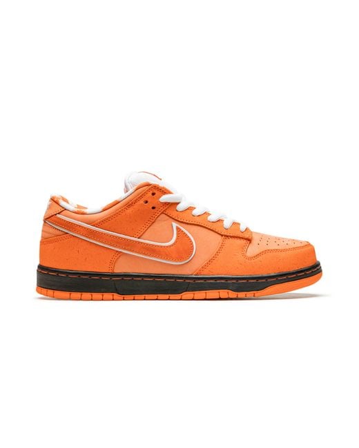 Nike Multicolor Sb Dunk Low "Concepts for men