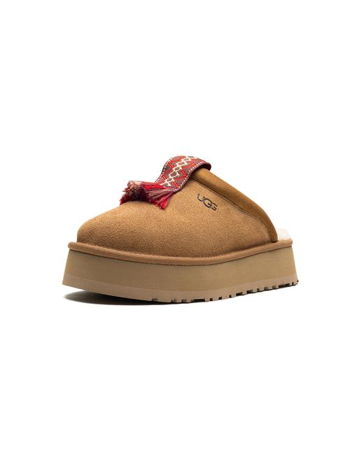 Ugg Black Tazz "Chestnut" 1152677 Che"