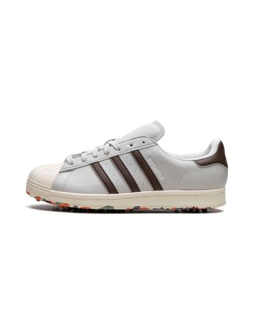Adidas superstar top grey brown