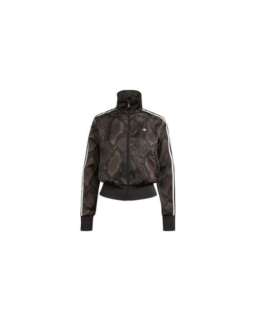 Adidas Black Satin Snake Print Firebird Track Jacket "Earth Strata Aurora Coffee" Kx1884"