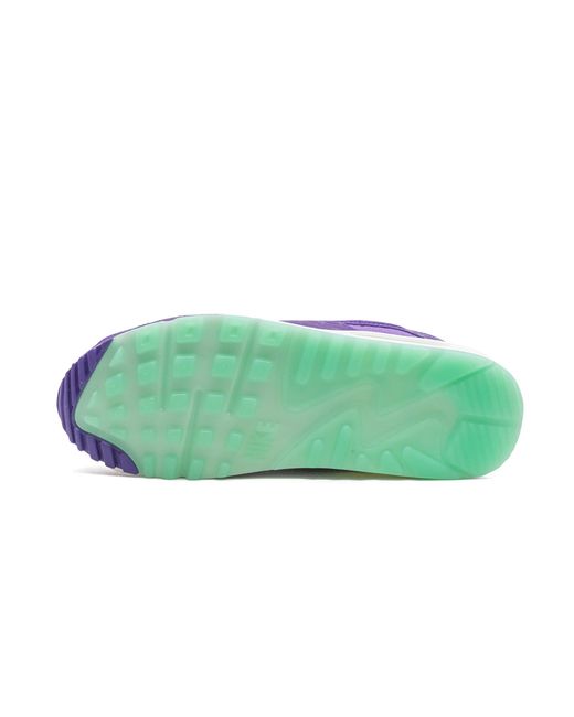 Nike Purple Air Max 90 "Animal Pack for men