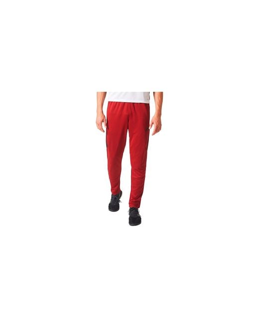 Adidas Black Tiro17 Training Pant "Team D94749" for men