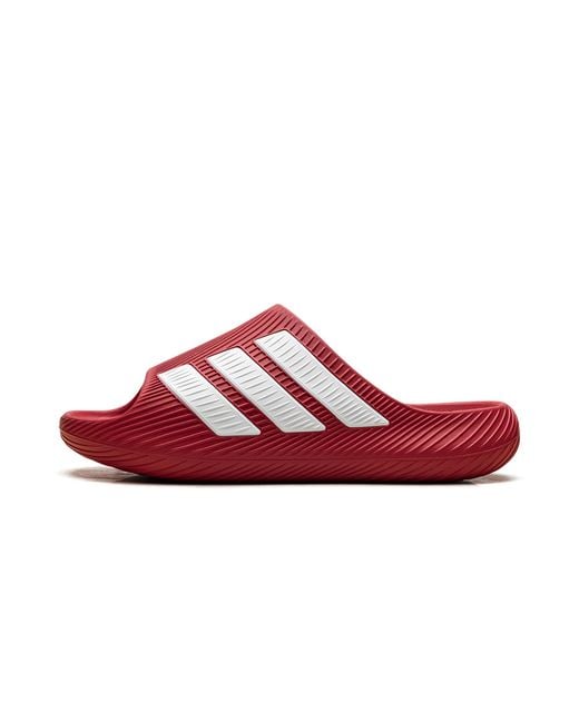 Adidas Red Purechill Slides "Better Scarlet" Ki0063" for men