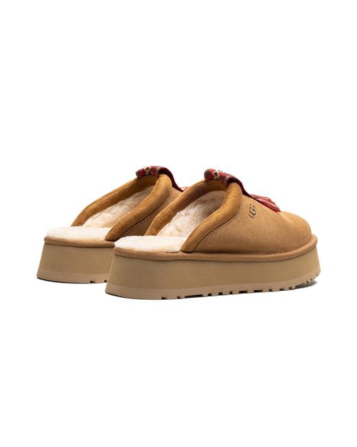 Ugg Black Tazz "Chestnut" 1152677 Che"