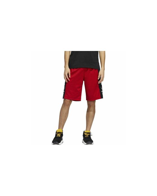 Adidas Black Mesh Outline Shorts "Power Ei7516" for men