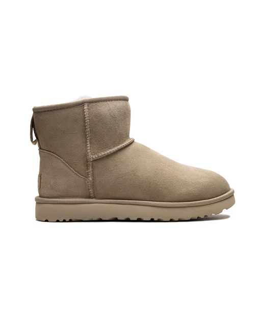 Ugg Black Classic Mini Ii "Mustard Seed" 1016222 Mdsd"