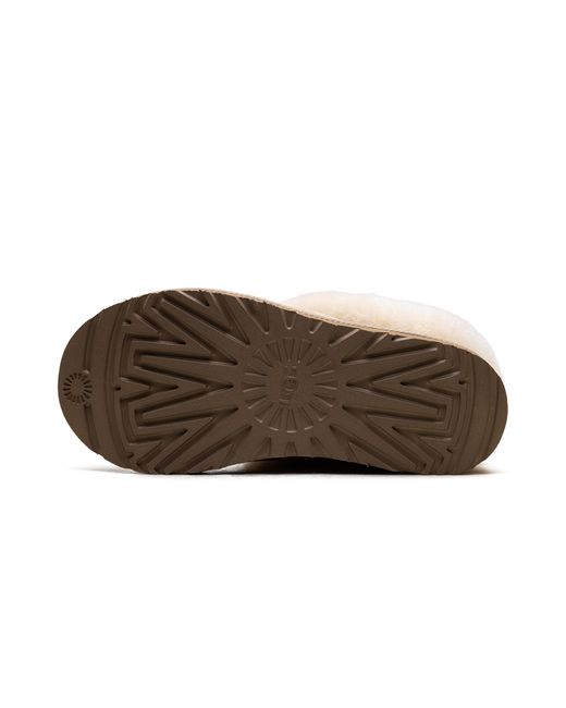 Ugg Black Tazzette "Mustard Seed" 1134810 Mdsd"
