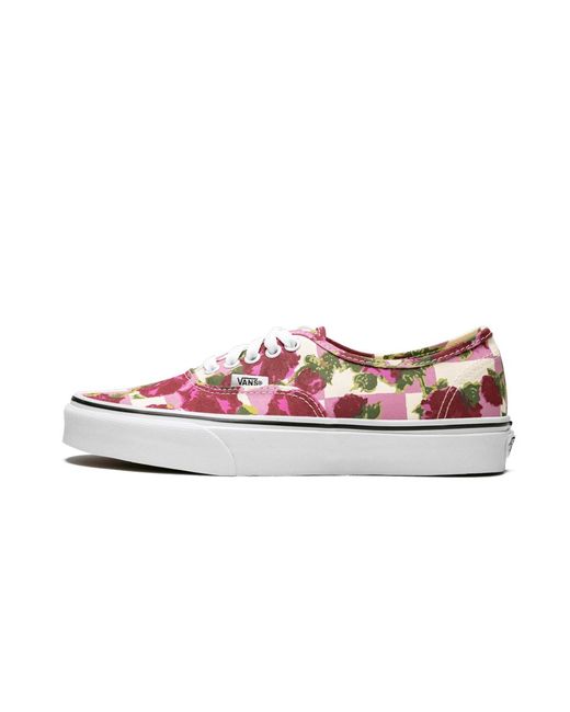 vans shoes size 13