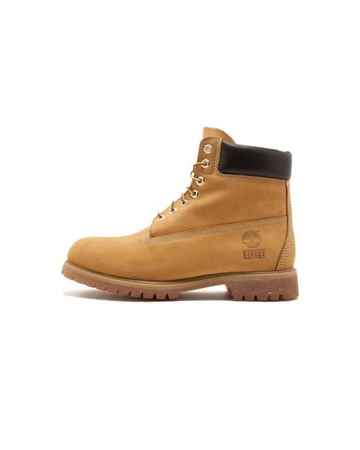 timberland 6in prem bt wp