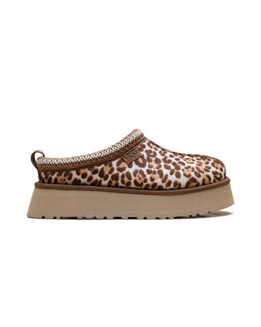 Ugg Black Tazz Plains Slipper "Felicity Leopard Jasmine" 1177890 Fdj"