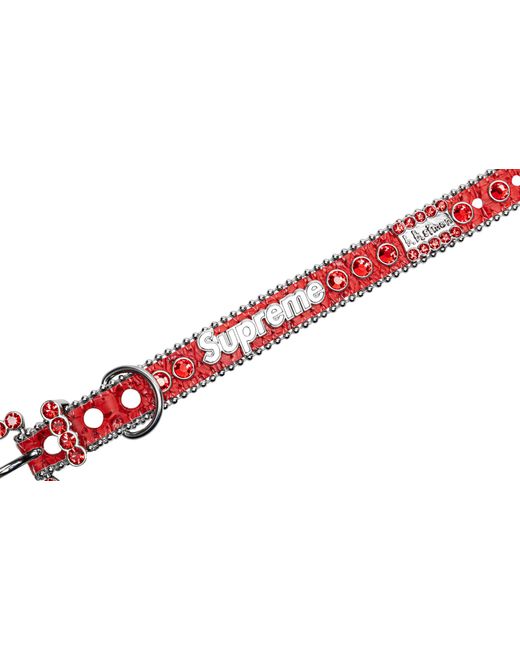 Supreme Black B.B. Simon Studded Dog Collar "Ss22" Su11658"