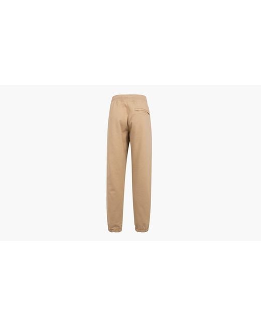 Palace Natural Sofar Jogger for men