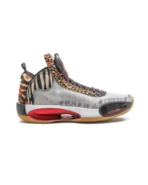 Nike Black Air Xxxiv Tatum Pe "Jayson Tatum Pe" Da1899 900" for men