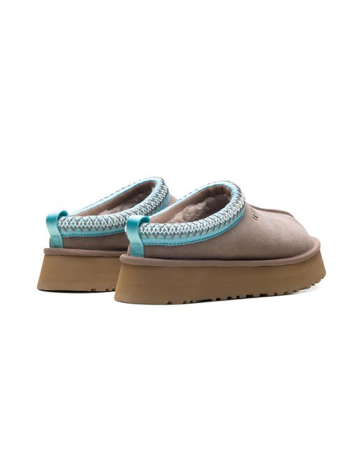 Ugg Black Tazz Ii Slipper "Caribou Sapphire Ice" 1174471 Cpph"
