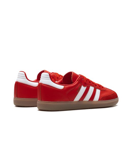 Adidas Red Samba "Fc Bayern" Jq4039" for men