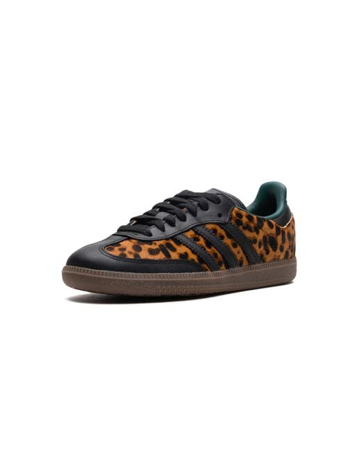 Adidas Black Samba Og "Leopard Core" Ji2735"