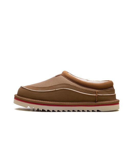 Ugg Brown Tasman Cali Wave Slipper "Chestnut Birch" 1158278 Cbrc"