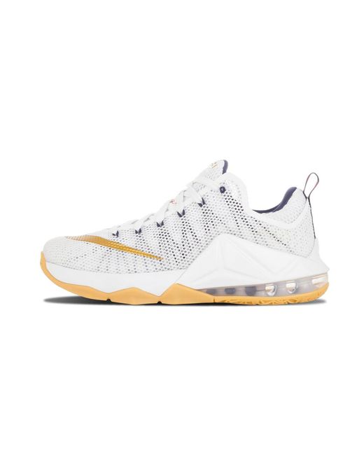 nike lebron 12 low