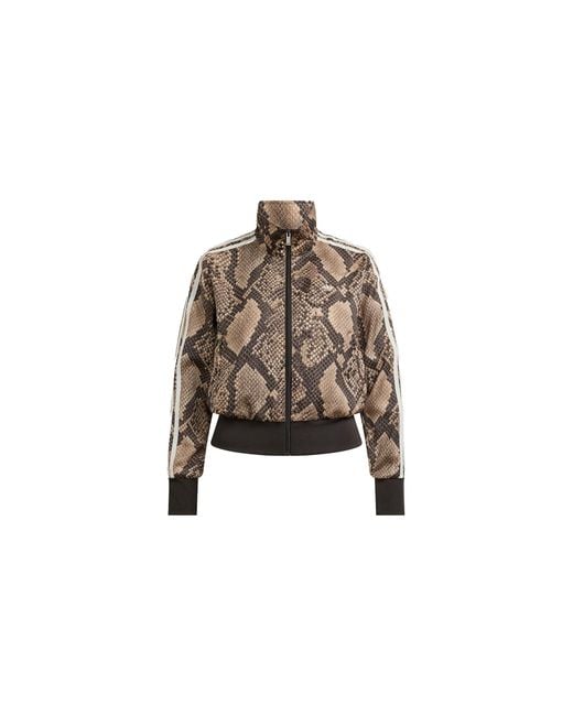 Adidas Black Satin Snake Print Firebird Track Jacket "Linen Magic" Kx1885"