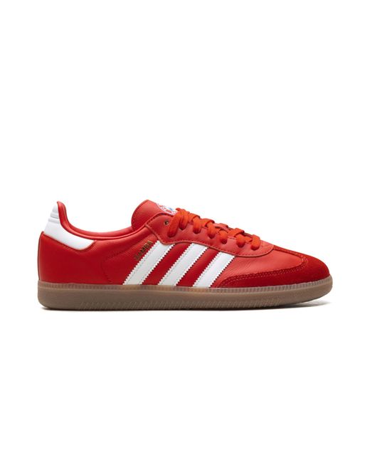 Adidas Red Samba "Fc Bayern" Jq4039" for men