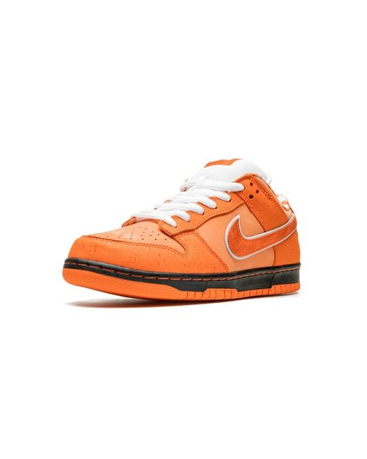 Nike Multicolor Sb Dunk Low "Concepts for men