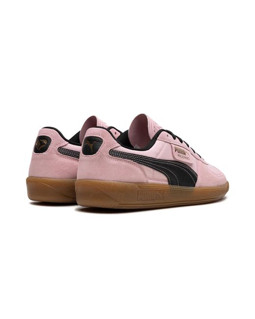 PUMA Black Palermo F.C. "Bright- 397245 01" for men