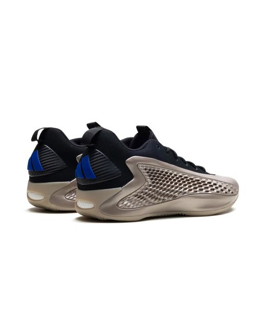 Adidas Black Ae1 Low "Champagne" Jq6133" for men