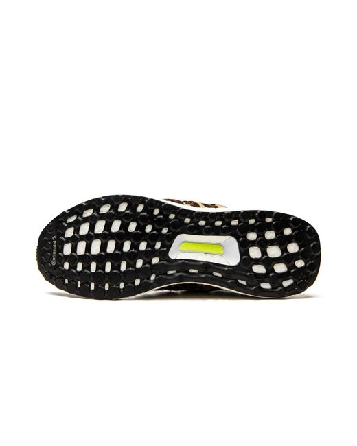 Adidas Black Ultraboost Dna "Animal Pack-Leopard" Fz2731" for men