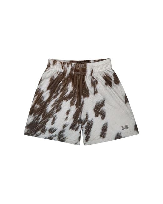 Bravest Studios Black Cow Print Shorts Bs143"