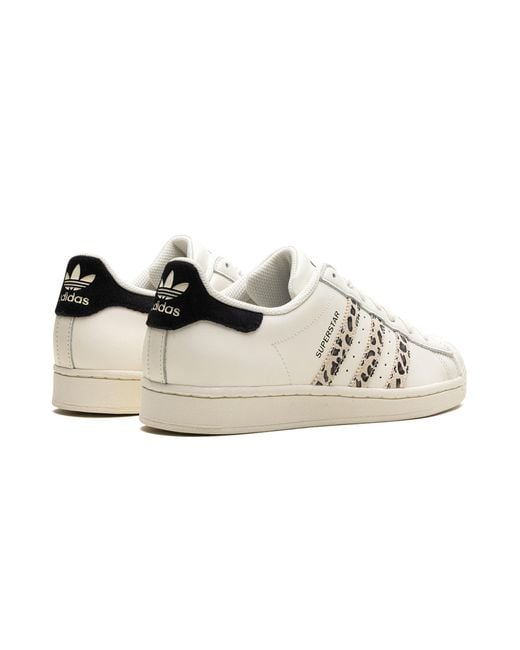 Adidas Black Superstar "Off Leopard" If7615"