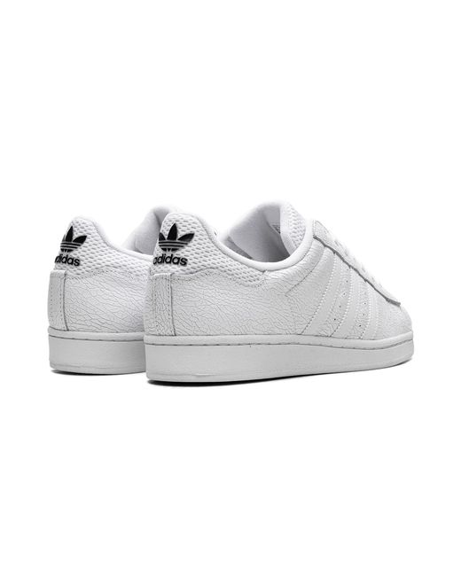 Adidas White Superstar Adv Vitoria "Cloud Core" Jp5705" for men