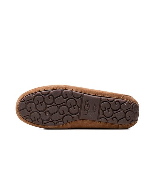 Ugg Brown Dakota 1107949 Che"