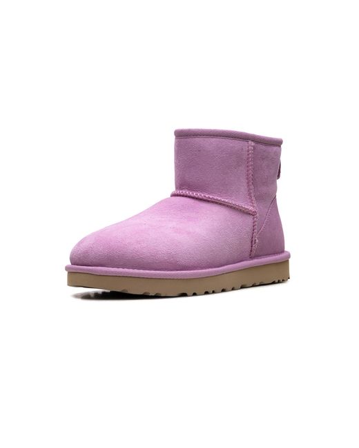 Ugg Purple Classic Mini Ii Boot "Wildflower" 1016222 Wdf"