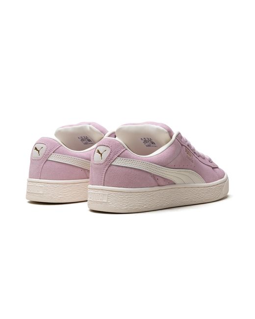 PUMA Black Suede Xl "Grape Mist" 397648 08" for men