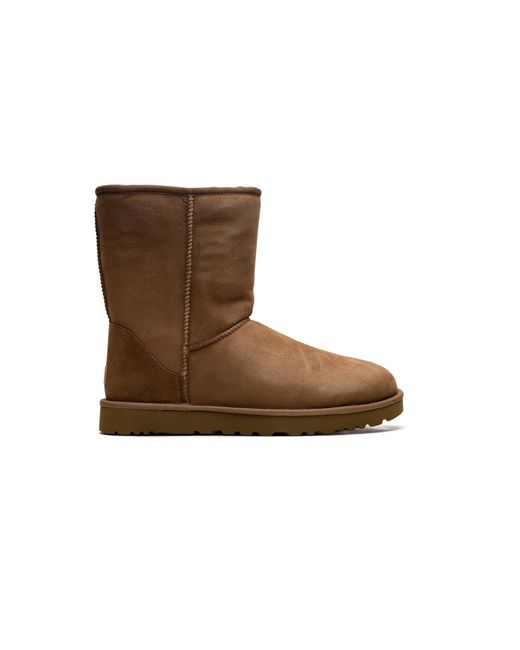 Ugg Brown Classic Short Ii Boot "Chestnut" 1016223 Che"