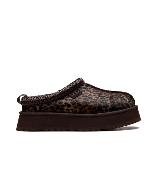 Ugg Black Tazz Caspian "Burnt Cedar" 1178430 Bcdr"