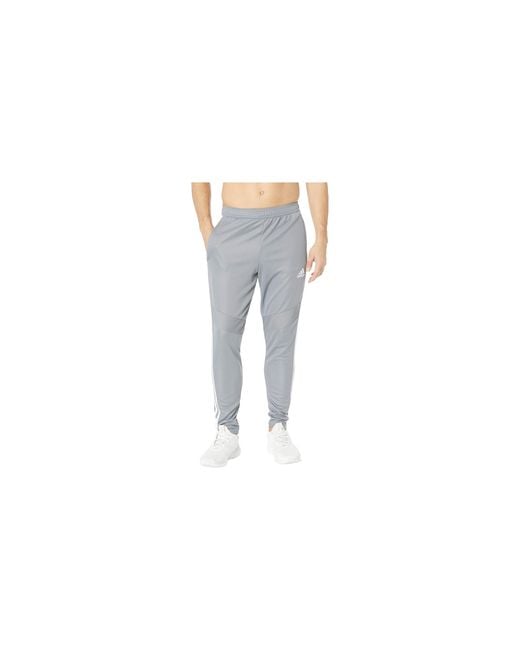Adidas Black Tiro 19 Training Pants Dt5175" for men