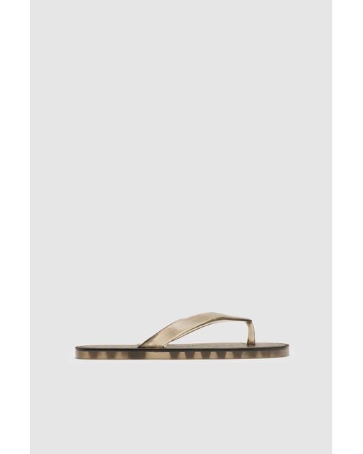 St. Agni Multicolor Jelly Flip Flop