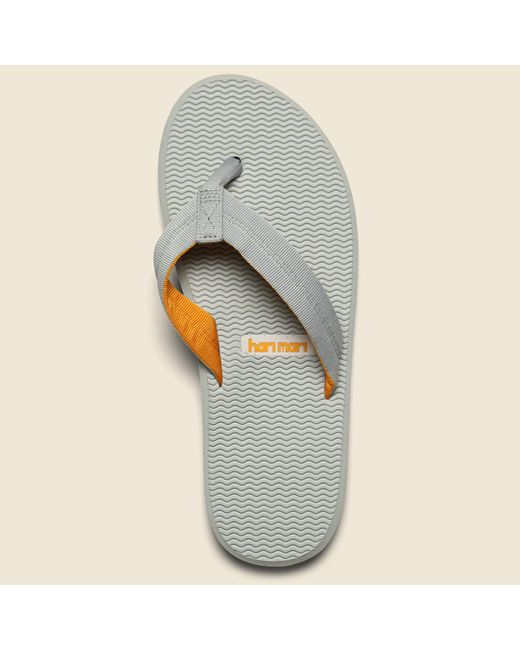Hari Mari Dunes Flip Flop - Grey in 